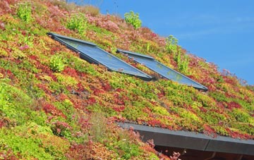 Bardney living roof systems